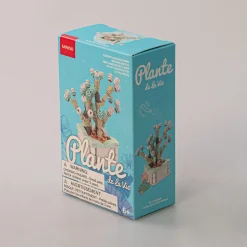 Costruzione - Pianta Grassa*MINISO Online