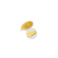 Spazzola Ovale Di Belle*MINISO Outlet